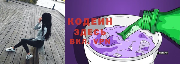сатива Дмитровск