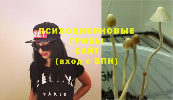 гашик Балабаново