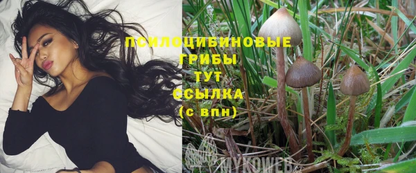 прущие крисы Дмитров