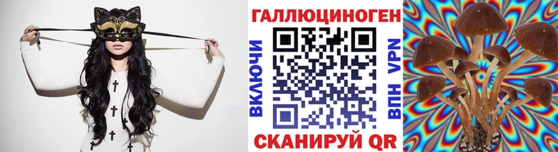 мега ONION  Суворов  Псилоцибиновые грибы GOLDEN TEACHER  купить наркотик 